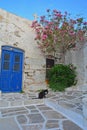Cat and Greek House Royalty Free Stock Photo