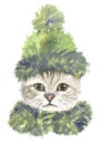 Cat in green hat and scarf