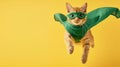 Cat in Green Mask and Cape