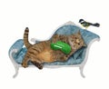 Cat with green sleep mask lying on blue couch