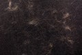 cat hair polluted black air mesh office chair sufface - closeup full frame view