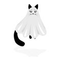 Cat Halloween ghost animal kitten icon vector illustration