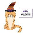 Cat in the Halloween hat