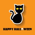 cat halloween icon