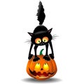 Cat Halloween Scared Cartoon Character standing on a Pumpkin Vector illustration