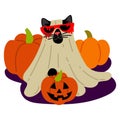 A cat in a Halloween sheet with a pumpkin with a carved face on a pumpkin background. A black cat with glasses with