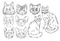 Cat hand drawing and sketch black and white Royalty Free Stock Photo
