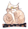 Cat - Handrawing illustration, isolated cat, funny, original, creative