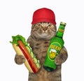 Cat has beer with hot dog Royalty Free Stock Photo