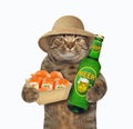 Cat has beer with sushi Royalty Free Stock Photo