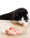 Cat has stolen sausage Royalty Free Stock Photo