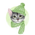 Cat in hat