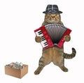 Cat plays the accordion