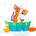 Cat having a bath Royalty Free Stock Photo