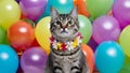Cat with Hawaiian flower necklace at colorful balloon party