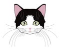 Cat head. Face kitten, whisker and ear, muzzle and wool. Vector illustration