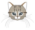 Cat head. Face kitten, whisker and ear, muzzle and wool. Vector illustration