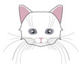 Cat head. Face kitten, whisker and ear, muzzle and wool. Vector illustration