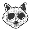 Cat head face sketch vector illustration Royalty Free Stock Photo