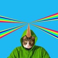 Cat head with rainbow, collage pop art concept design. Minimal summer background