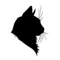 Cat head silhouette. Vector illustration in monochrome style on white background. Royalty Free Stock Photo