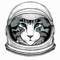 Cat head. Vector animal portrait. Face of kitten. Astronaut animal. Vector portrait. Cosmos and Spaceman. Space