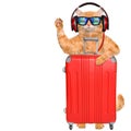 Cat headphones with a suitcase. Cat wearing sunglasses relaxing in the sea background. Royalty Free Stock Photo