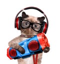 Cat headphones with tape recorder. Royalty Free Stock Photo