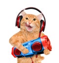 Cat headphones with tape recorder. Royalty Free Stock Photo