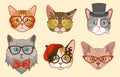 Cat heads. Cute funny cats avatar muzzles with accessories, glasses and hats, bow tie. Happy hipster pets vector Royalty Free Stock Photo