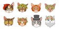 Cat heads. Cute funny cats avatar muzzles with accessories. Portraits with flower crown, hats and glasses. Ladies and