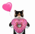 Cat with heart shaped donut Royalty Free Stock Photo
