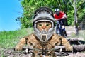 Cat in a helmet on a bicycle participating