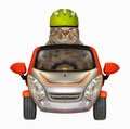 Cat in a helmet drives a small car