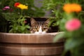 cat hiding behind flower pot, ready to ambush bird