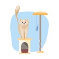 Cat, his house and mouse icon elements