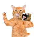 Cat holding a card with lion mouth.