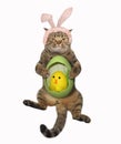 Cat holding easter egg with chick Royalty Free Stock Photo