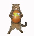 Cat holds an egg with a chick Royalty Free Stock Photo