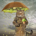 Cat with a kiwi umbrella