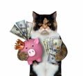 Cat holding a pink piggy bank Royalty Free Stock Photo