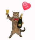 Cat holding a red balloon and champagne Royalty Free Stock Photo