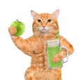 Cat holding smoothie in a jar mug old.