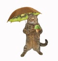 Cat with umbrella 2 Royalty Free Stock Photo