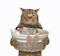 Cat holds basket with sleeping man
