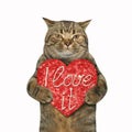 Cat with a sausage heart Royalty Free Stock Photo