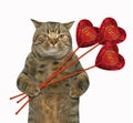 Cat with three hearts Royalty Free Stock Photo