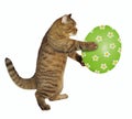 Cat holds the easter egg Royalty Free Stock Photo