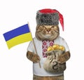 Cat holds a flag and a sack of hryvnia Royalty Free Stock Photo