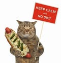 Cat with a funny sign and a hot dog 2